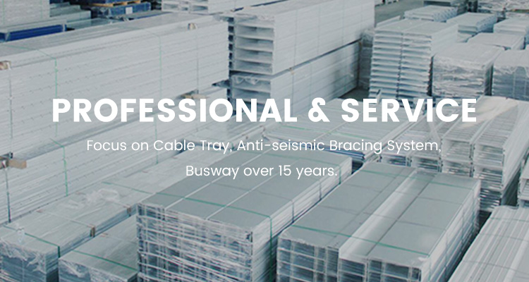 professional & service